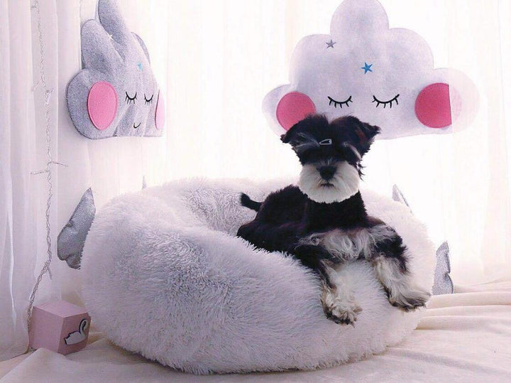 Mini - Rund P fluffy Plush Kattested | Luvikno