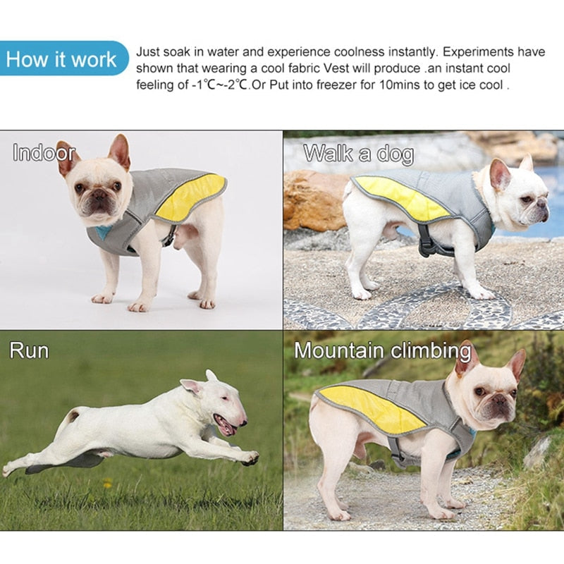 Coolify™ : Kjølevest for Fransk Bulldog (CS13) | Luvikno