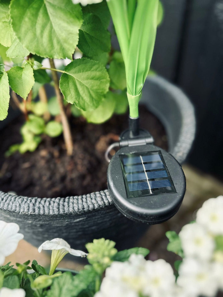 Luvikno | SolarBloom – Magisk lys for hagen din