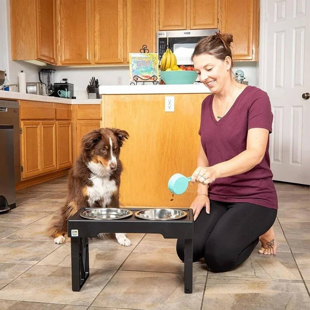 PupLift Hevet Hundeskål – Ergonomisk & Langsom Fôring for Sunne Måltider | Luvikno