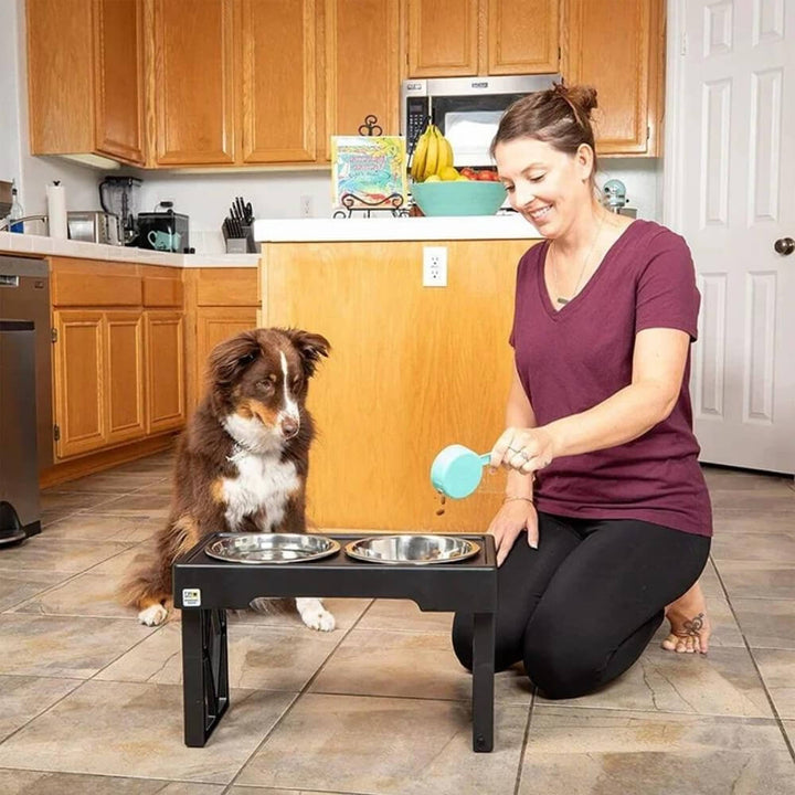 PupLift Hevet Hundeforsyning – Ergonomisk & Sakte Spising for Sunne Måltider | Luvikno