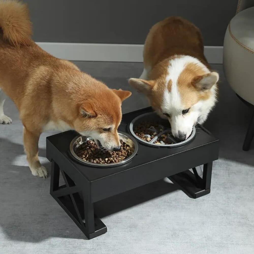 PupLift Hevet Hundeforsyning – Ergonomisk & Sakte Spising for Sunne Måltider | Luvikno