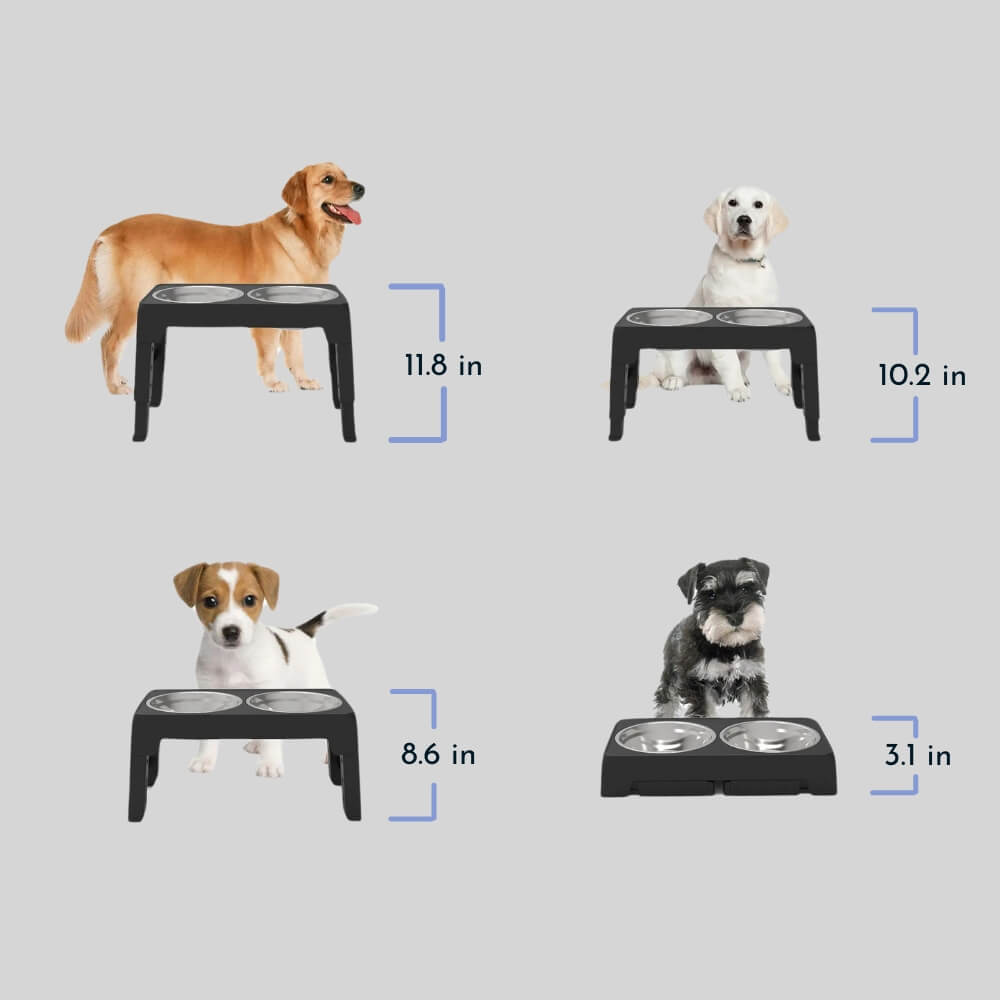 PupLift Hevet Hundeforsyning – Ergonomisk & Sakte Spising for Sunne Måltider | Luvikno