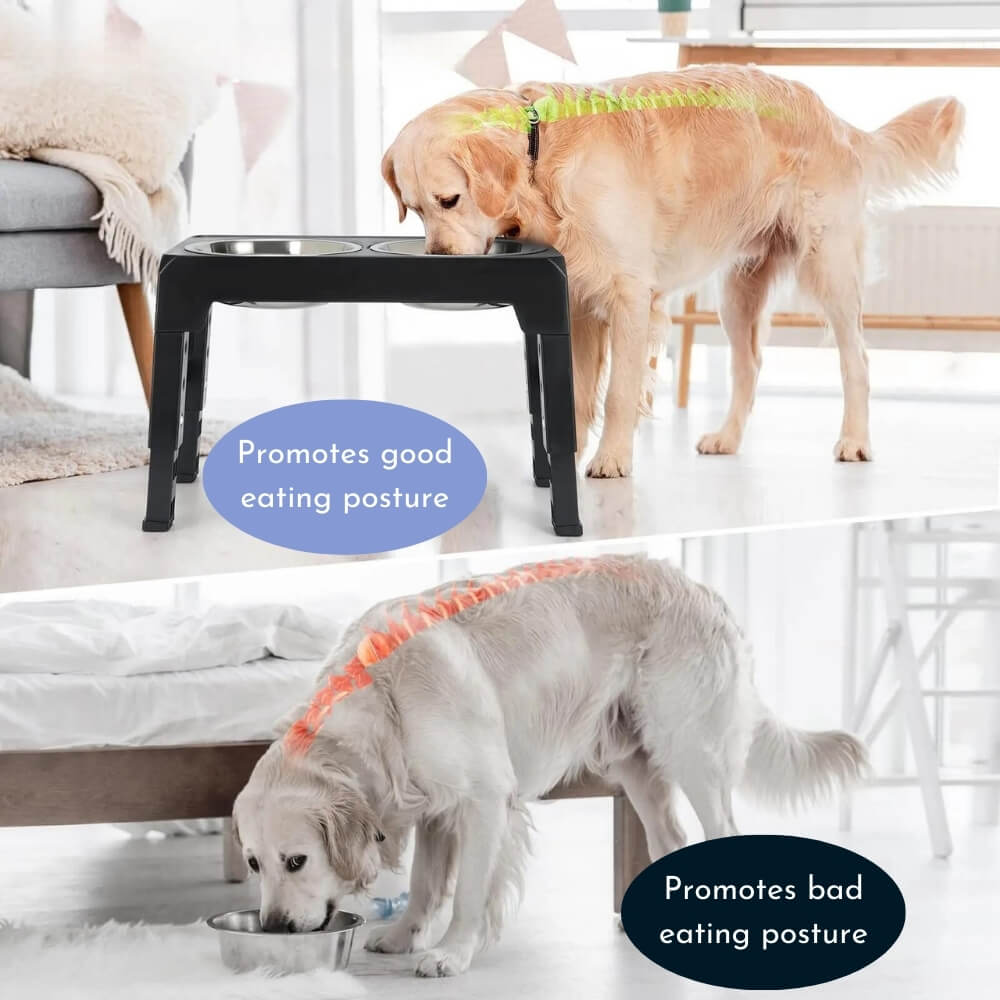 PupLift Hevet Hundeskål – Ergonomisk & Langsom Fôring for Sunne Måltider | Luvikno
