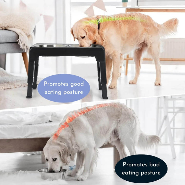 PupLift Hevet Hundeskål – Ergonomisk & Langsom Fôring for Sunne Måltider | Luvikno
