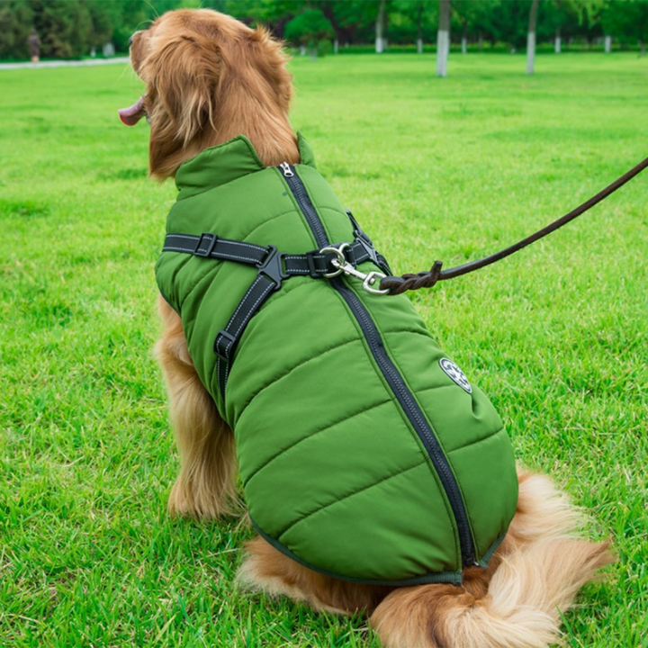 Luvikno | WoofGuard - Vanntett Vinterjakke med Integrert Sele