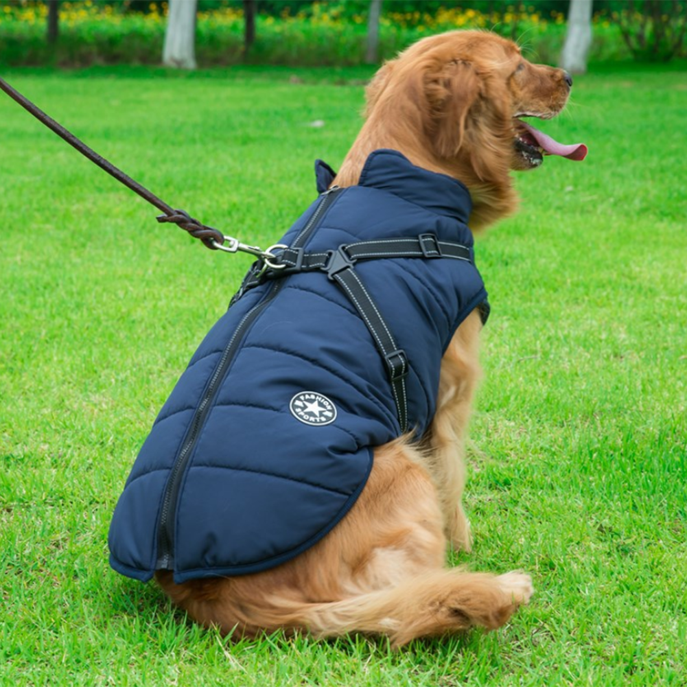 Luvikno | WoofGuard - Vanntett Vinterjakke med Integrert Sele