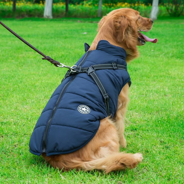 Luvikno | WoofGuard - Vanntett Vinterjakke med Integrert Sele