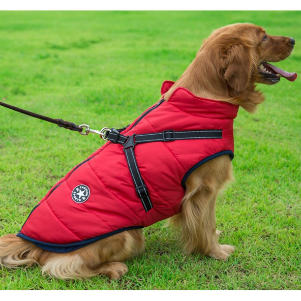 Luvikno | WoofGuard - Vanntett Vinterjakke med Integrert Sele