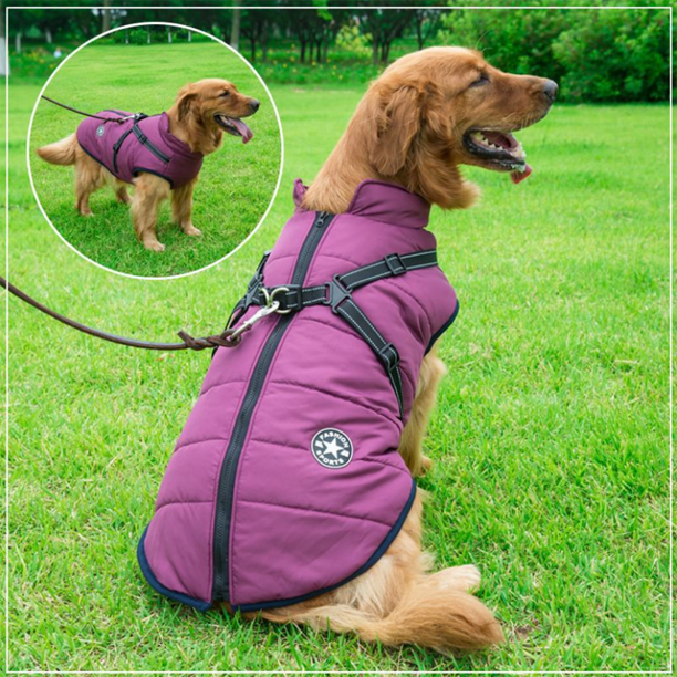 Luvikno | WoofGuard - Vanntett Vinterjakke med Integrert Sele