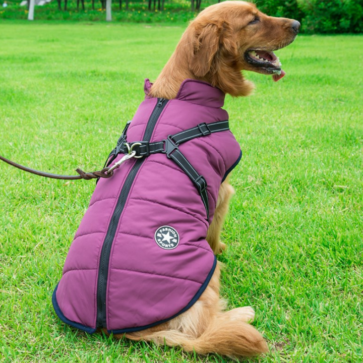 Luvikno | WoofGuard - Vanntett Vinterjakke med Integrert Sele