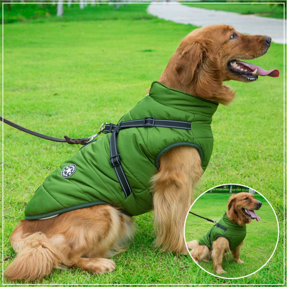 Luvikno | WoofGuard - Vanntett Vinterjakke med Integrert Sele