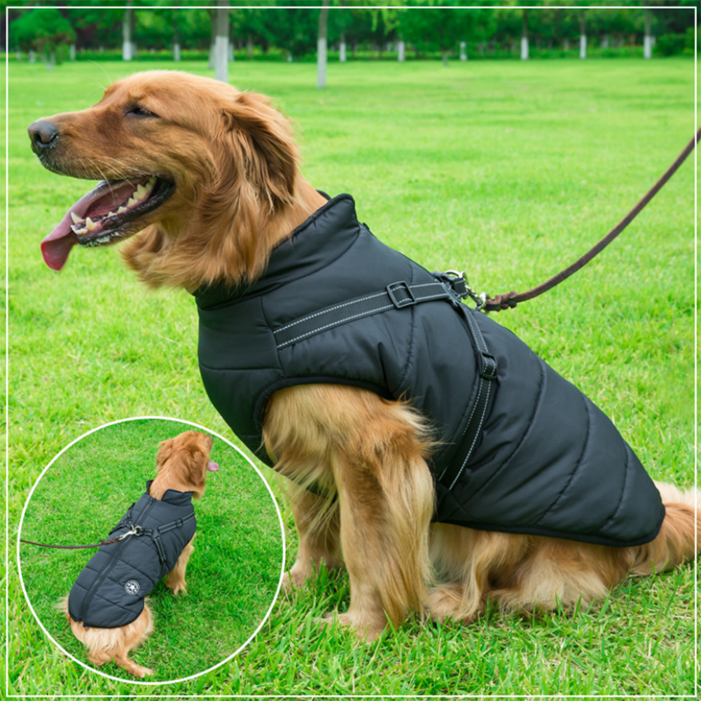 Luvikno | WoofGuard - Vanntett Vinterjakke med Integrert Sele