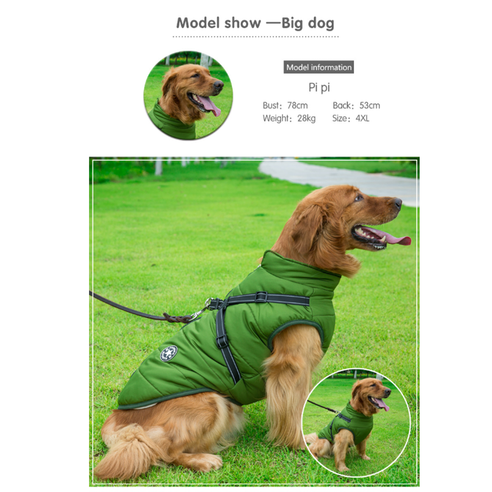 Luvikno | WoofGuard - Vanntett Vinterjakke med Integrert Sele