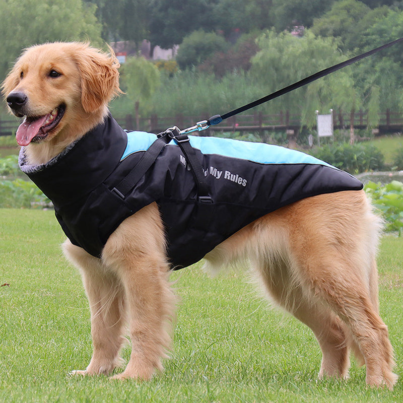 Reflekterende hundejakke med sele - GlowPaw™ Luvikno
