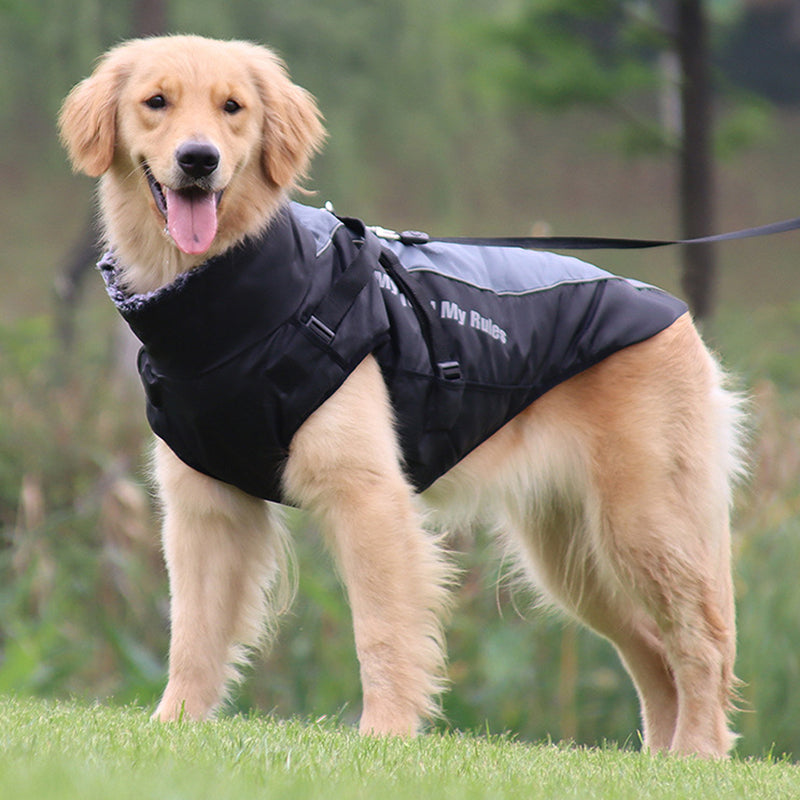 Reflekterende hundejakke med sele - GlowPaw™ Luvikno