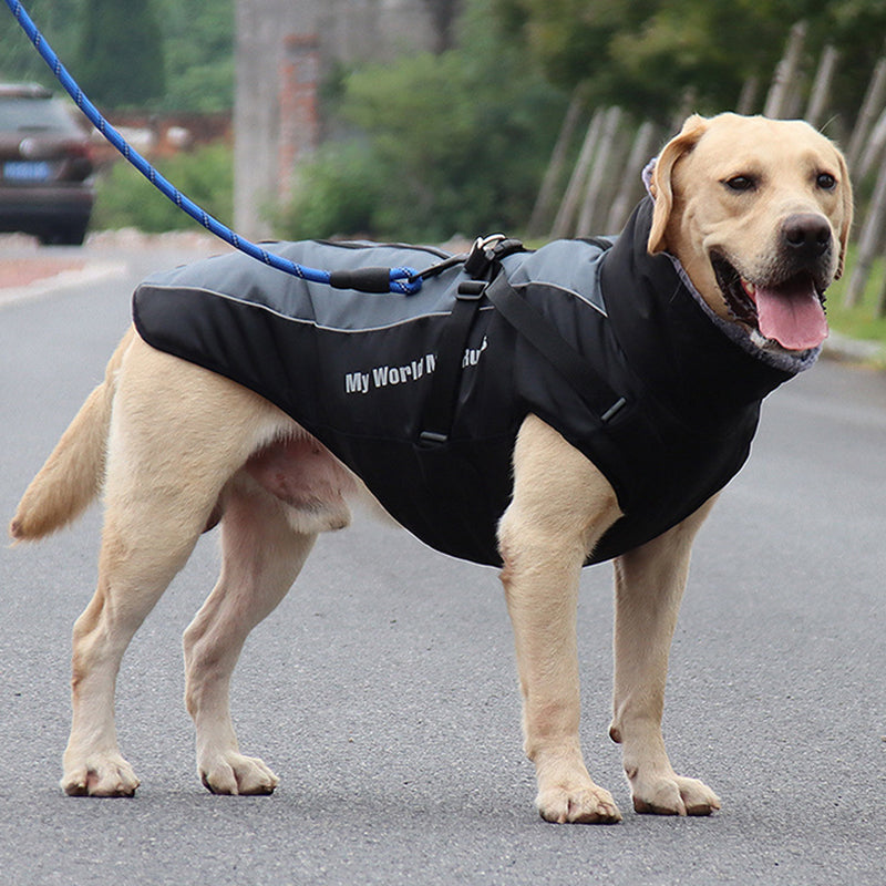 Reflekterende hundejakke med sele - GlowPaw™ Luvikno