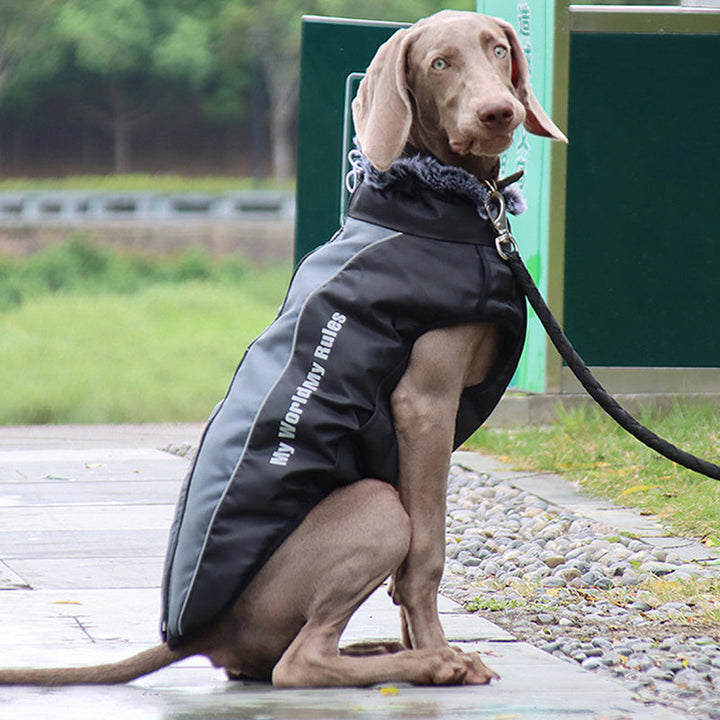 Reflekterende hundejakke med sele - GlowPaw™ Luvikno