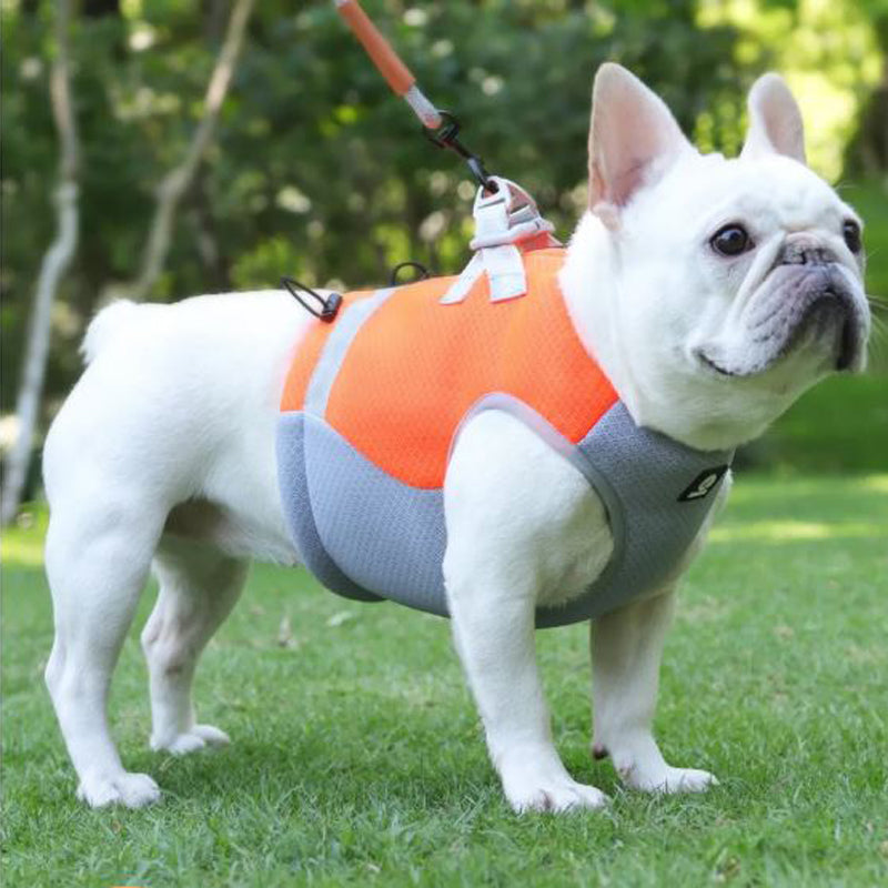 Frenchie Sommer Reflekterende Kjølevest | Luvikno