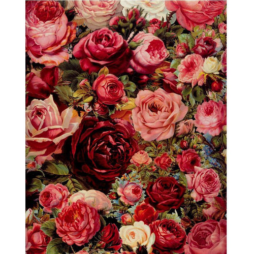 Rose Universe - Van-Go Mal-Em-Nummer Kit | Luvikno