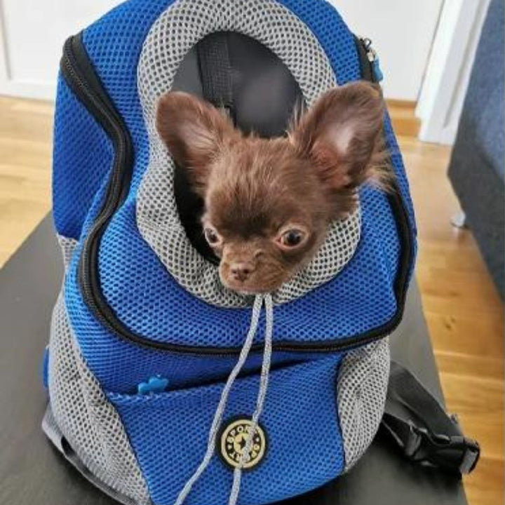 Luvikno | PawCarry – Sammen overalt på farten