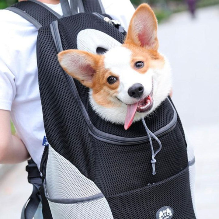 Luvikno | PawCarry – Sammen overalt på farten