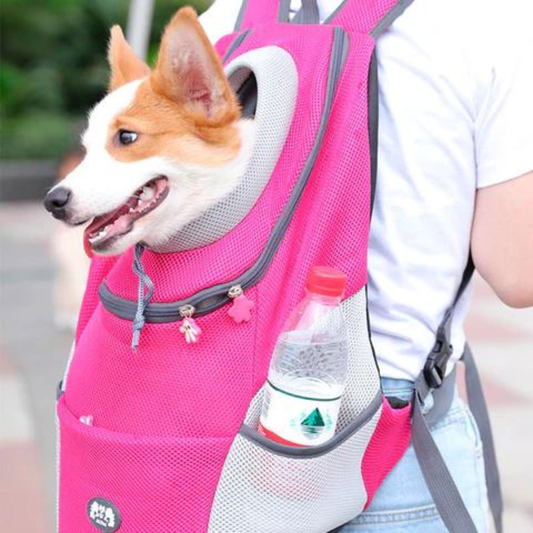 Luvikno | PawCarry – Sammen overalt på farten
