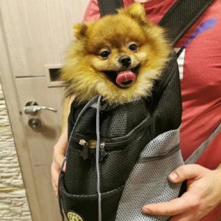 Luvikno | PawCarry – Sammen overalt på farten