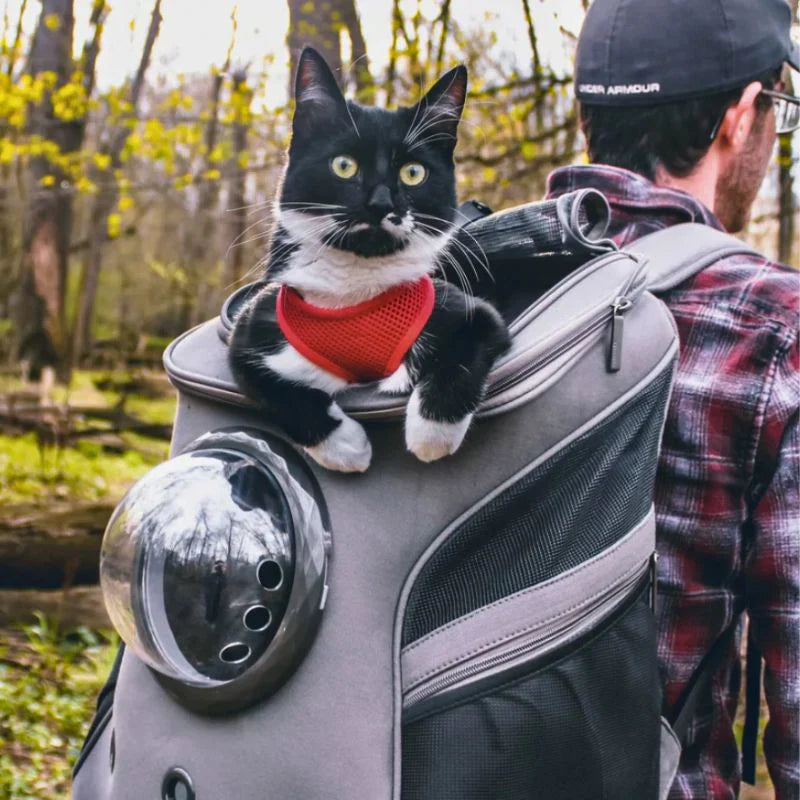 Kattreisebag – PurrTrek Luvikno