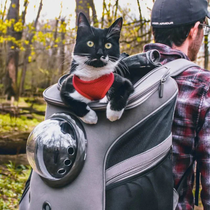 Kattreisebag – PurrTrek Luvikno