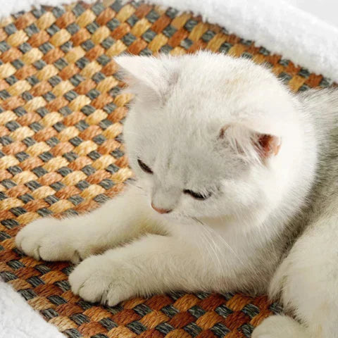 Klorebenk for katter - PurrLuxe Luvikno