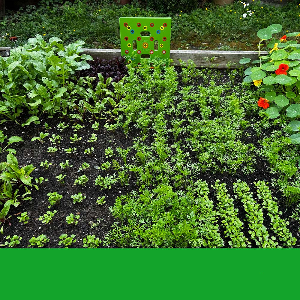 Luvikno | GardenLux Elite Frøstartersett | Forvandl hageopplevelsen din med ekspertveiledning og premium verktøy