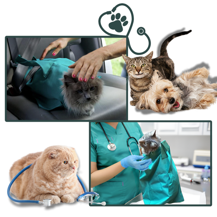 Luvikno | Serene Journey Katt Reiseveske