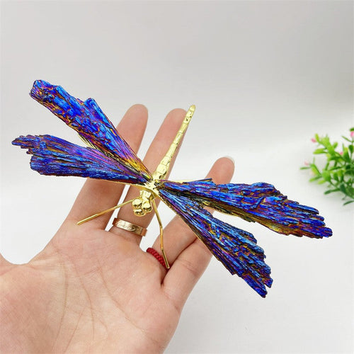 AURA TOURMALINE KYANITE DRAGEFLY | Luvikno