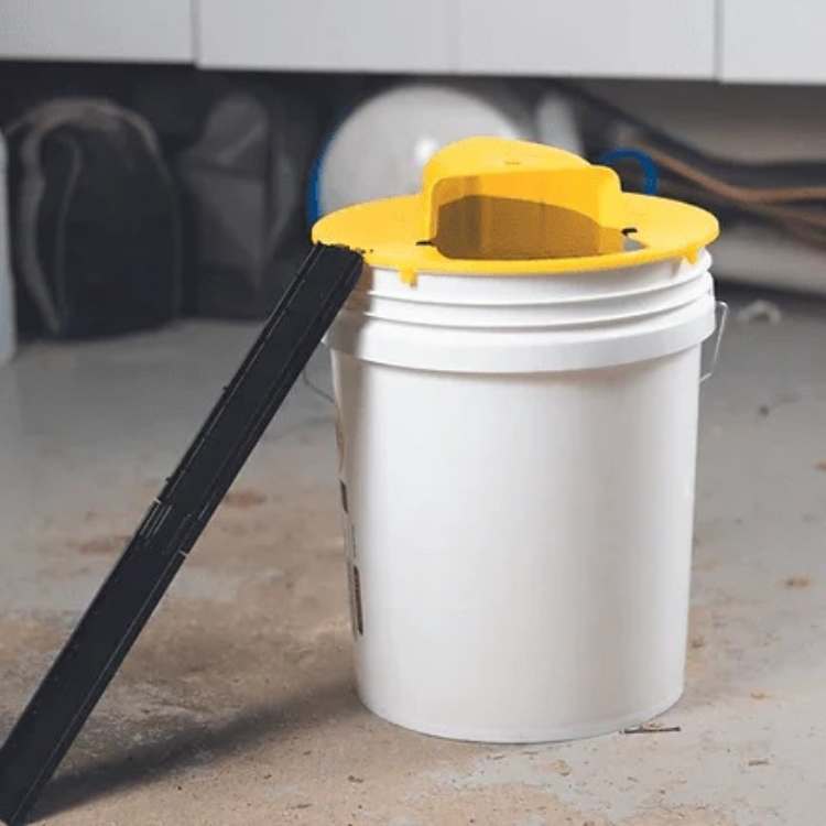 Musfelle Multi-Fangst med Automatisk Vippe Mekanisme | Luvikno