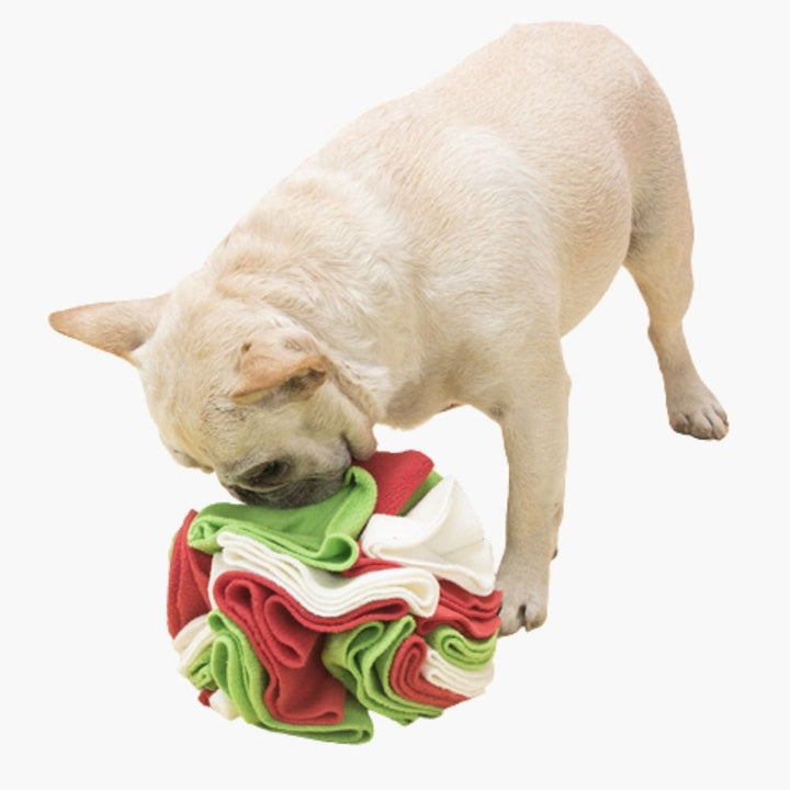Snuffle Ball for Dogs - PawMaze Luvikno