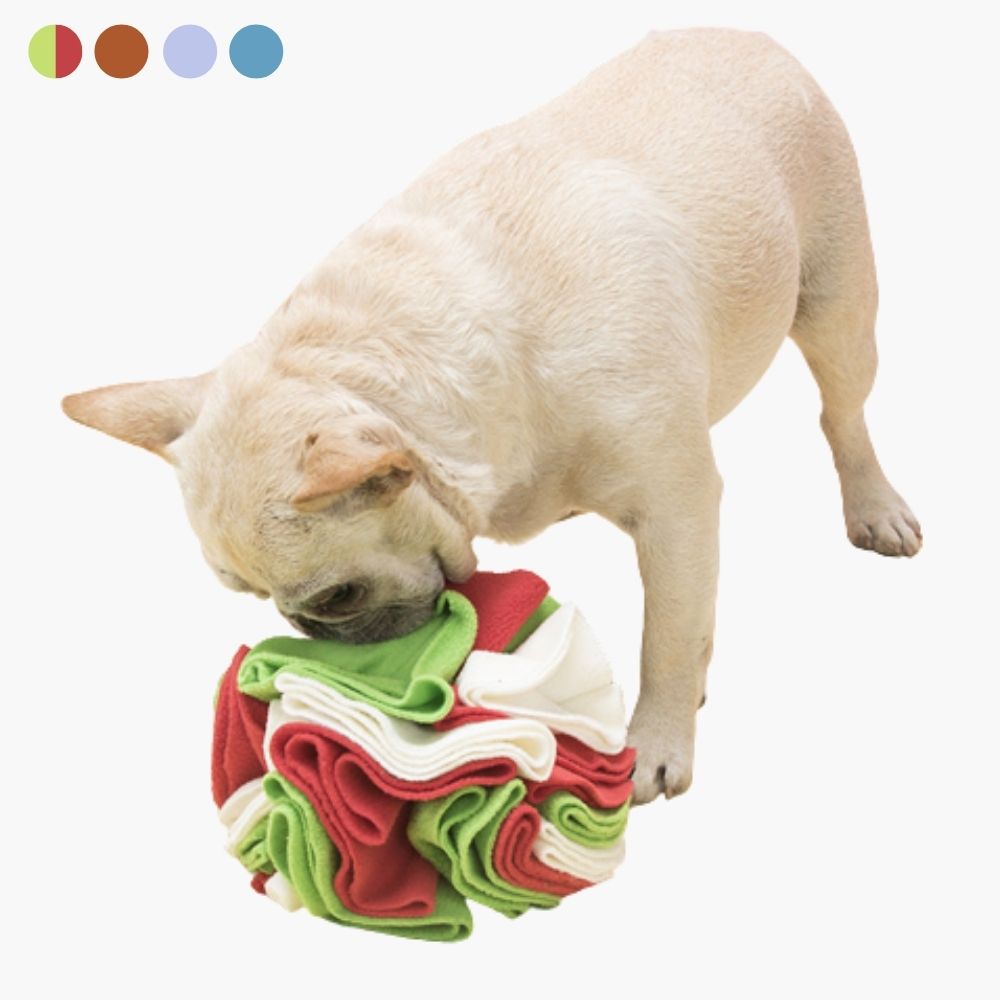 Snuffle Ball for Dogs - PawMaze Luvikno