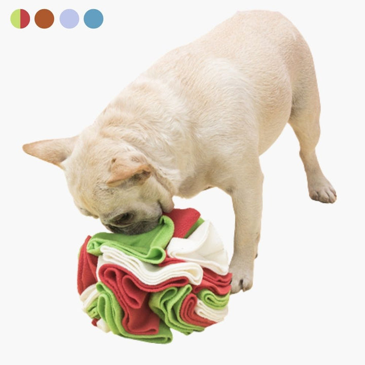 Snuffle Ball for Dogs - PawMaze Luvikno