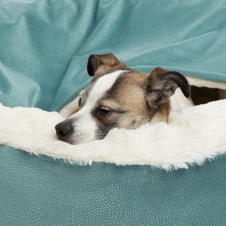 SnuggleNest Hund Kosehule - Den Ultimative Komforten for Dyr البويليف