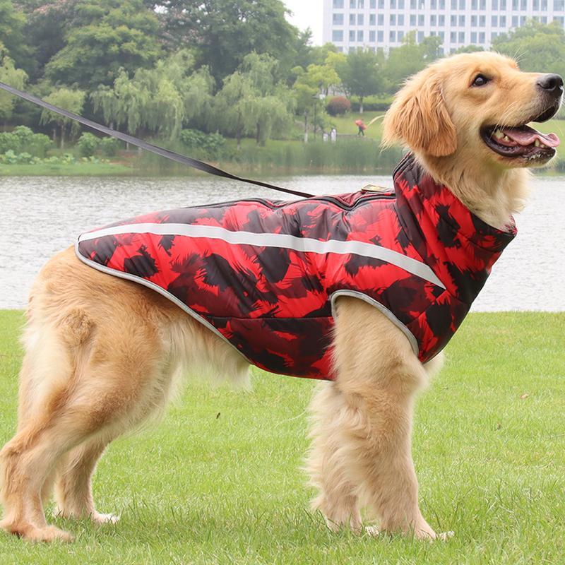 StormGuard Vanntett Vinter Hundejakke Luvikno