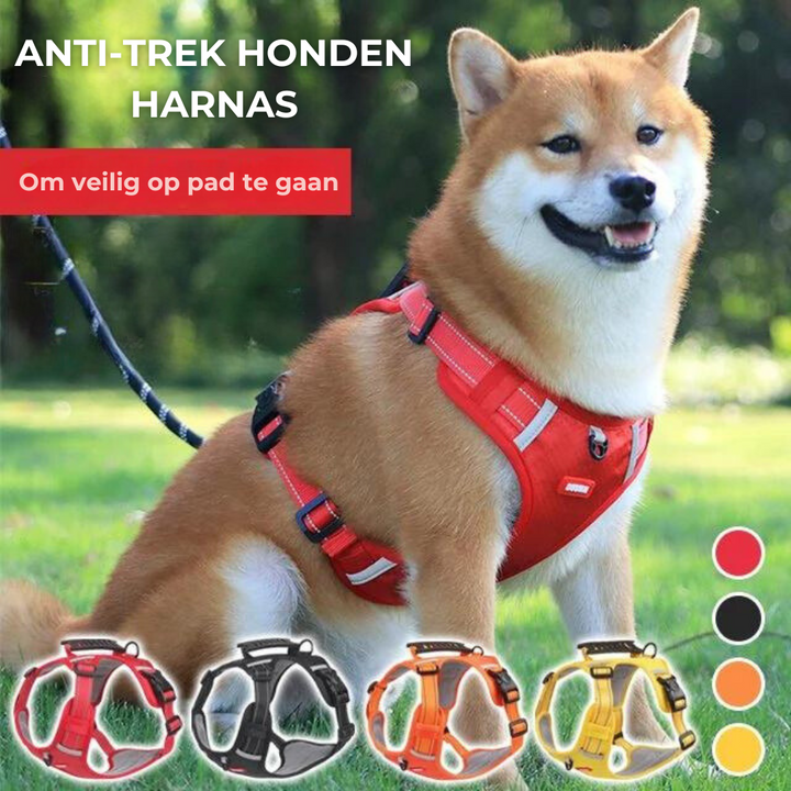 Robust og Komfortabel Hundesele - ActivePup™ Luvikno