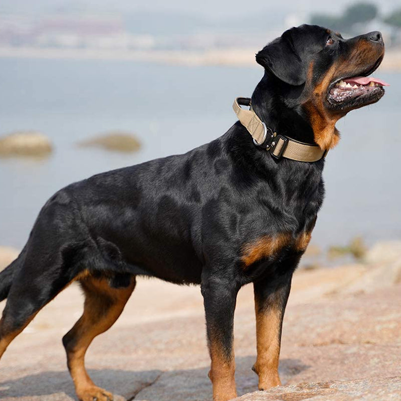 Taktisk hundehalsbånd med håndtak - PowerGrip Luvikno