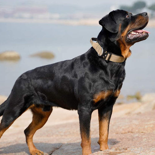 Taktisk hundehalsbånd med håndtak - PowerGrip Luvikno