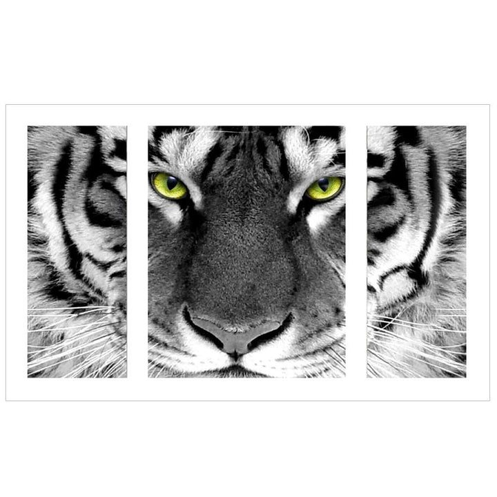 Black and White Tiger - GemPaint Kit | Luvikno
