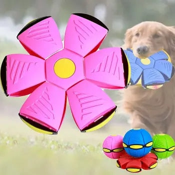 Hundelek Interaktiv Gummiflygende Disk Ball Luvikno