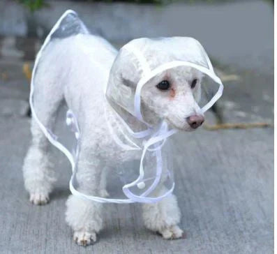 Transparent Vanntett Regnjakke for Hunder - DryPaw Luvikno