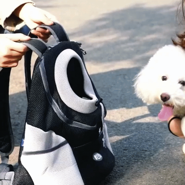 Luvikno | PawCarry – Sammen overalt på farten
