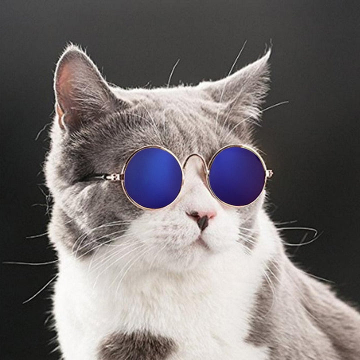 Trendy Katt Solbriller - KittyShades Luvikno