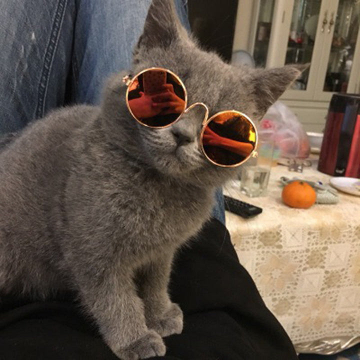 Trendy Katt Solbriller - KittyShades Luvikno