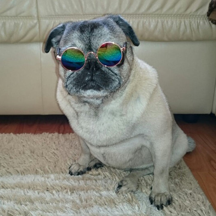 Trendy Katt Solbriller - KittyShades Luvikno